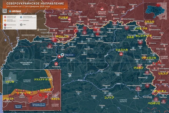 �����饤��������