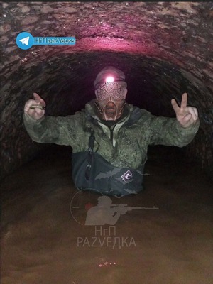 �ѥ��׿���