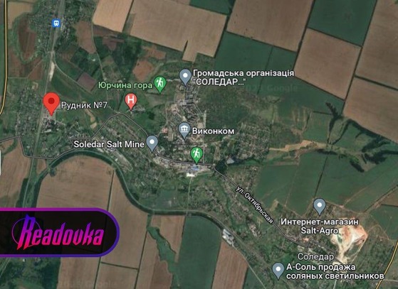 ���������Ҷ��̿�