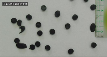 �뿩��������