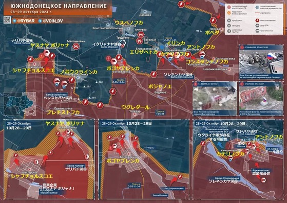 �����������1029