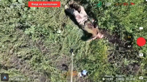 �����饤��ʼ3