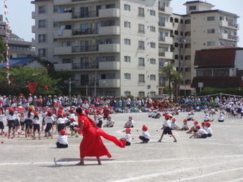 ���Ͷ�����