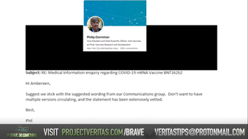 ����Ĺ����