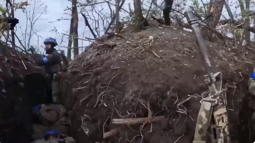 �����Ϲ�