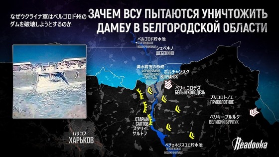 ¥Ù¥ë¥´¥í¥ÉÃù¿åÃÓ¥À¥à¹¶·âÌÜŪ