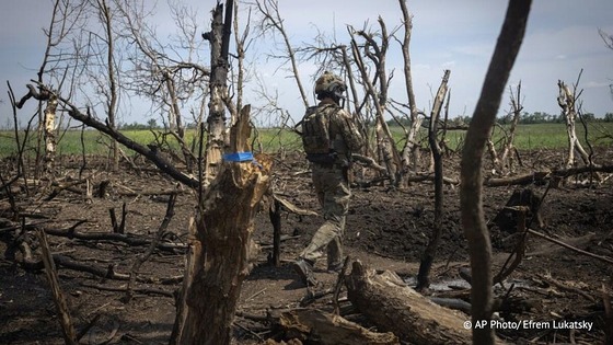 �����ü����ⷱ��