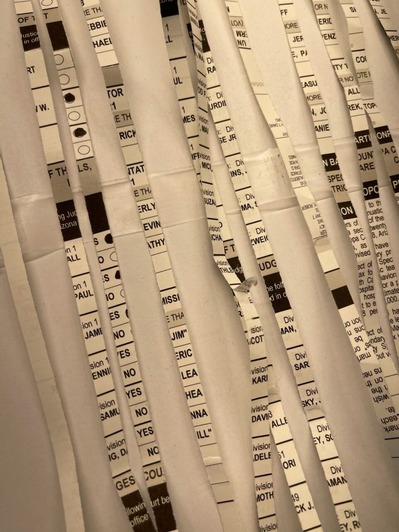 AZ-Ballot-Shredded-3-6