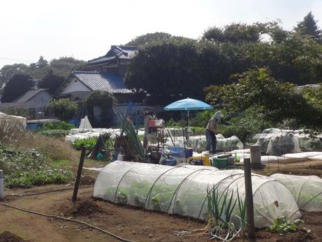 大町