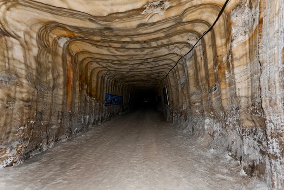 ��������룳