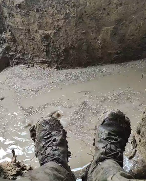 ���ݥ꡼������Ϲ�