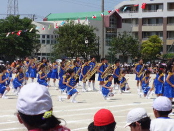 ���ƿ��ճ�