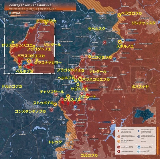 ���٥륹������