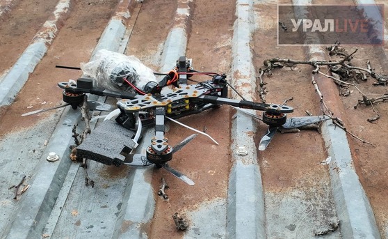 ���륹����