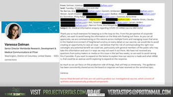 �٥ͥå�����μ��