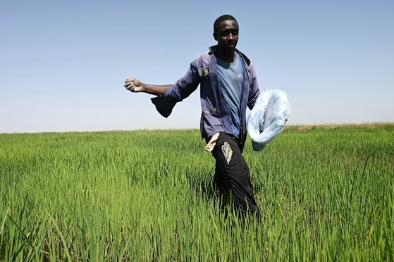 �Ĥ������򻵤���̱