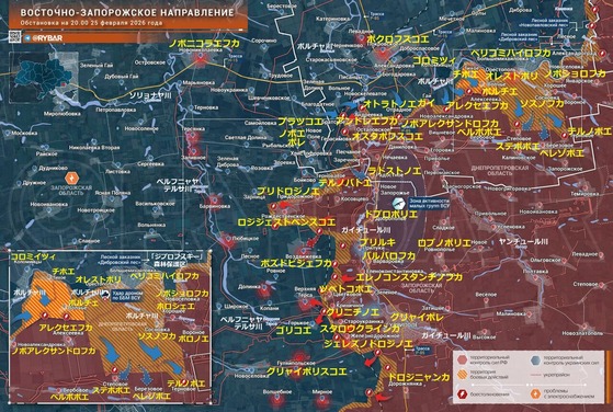 �쥶�ݥ꡼����0225