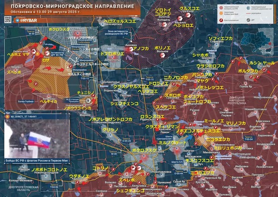 ¥Ý¥¯¥í¥Õ¥¹¥¯0829