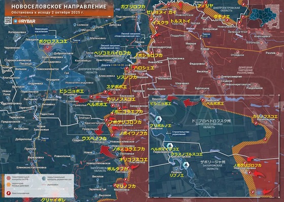 Æî¥É¥Í¥Ä¥¯1002