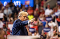 トランプラリー