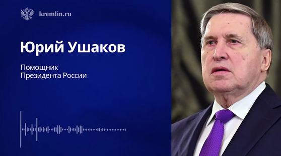 ¥¦¥·¥ã¥³¥ÕÊó¹ð