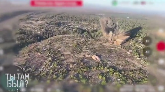 ���˥�����