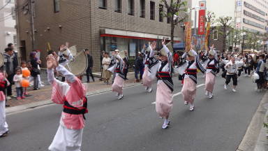 市川まつり阿波踊り