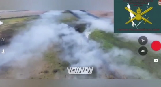 T-05-24���ܻؤ��襤