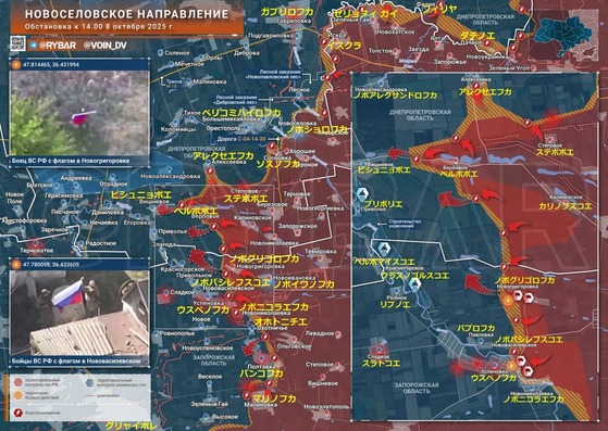 Æî¥É¥Í¥Ä¥¯1008