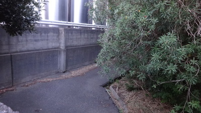 DSC02916