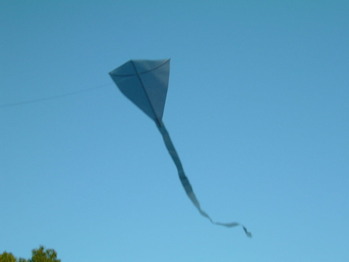 �ƥ�������