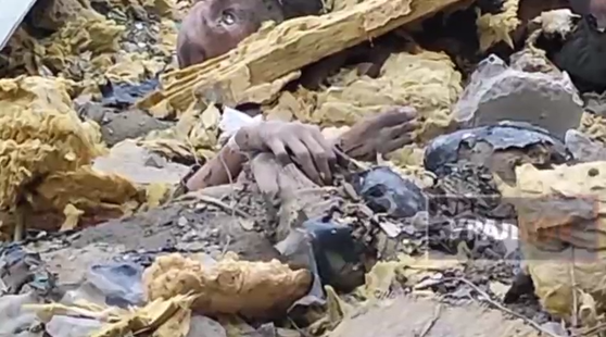 ��������줿����