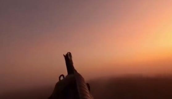 �ԥå����åײ���