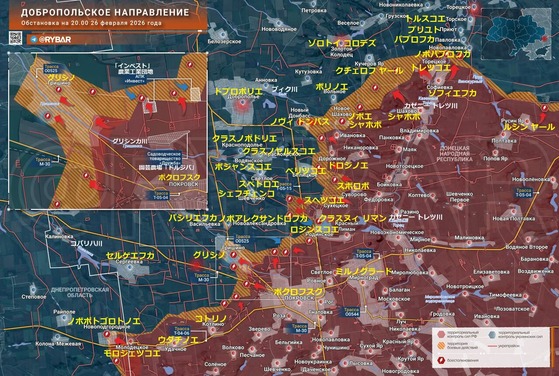 �ɥץ��ݥꥨ0226