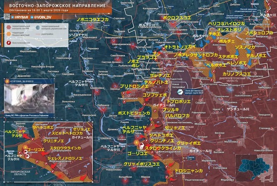 �쥶�ݥ꡼����0301