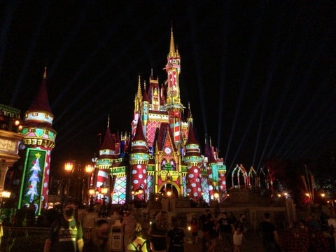 ２歳児を連れたフロリダのwdw ウォルトディズニーワールド を楽しむにはどれくらいの費用 時間がかかるの 資本主義社会を生き抜く知恵袋