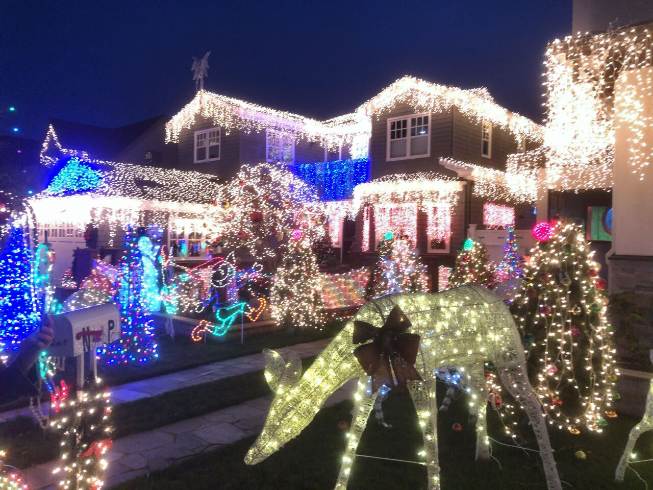ベイエリア界隈の住宅地や公園のクリスマスイルミネーション Christmas Tree Lane アメリカで生き抜く知恵袋 ベイエリア界隈の住宅地や公園のクリスマスイルミネーション Christmas Tree Lane アメリカで生き抜く知恵袋