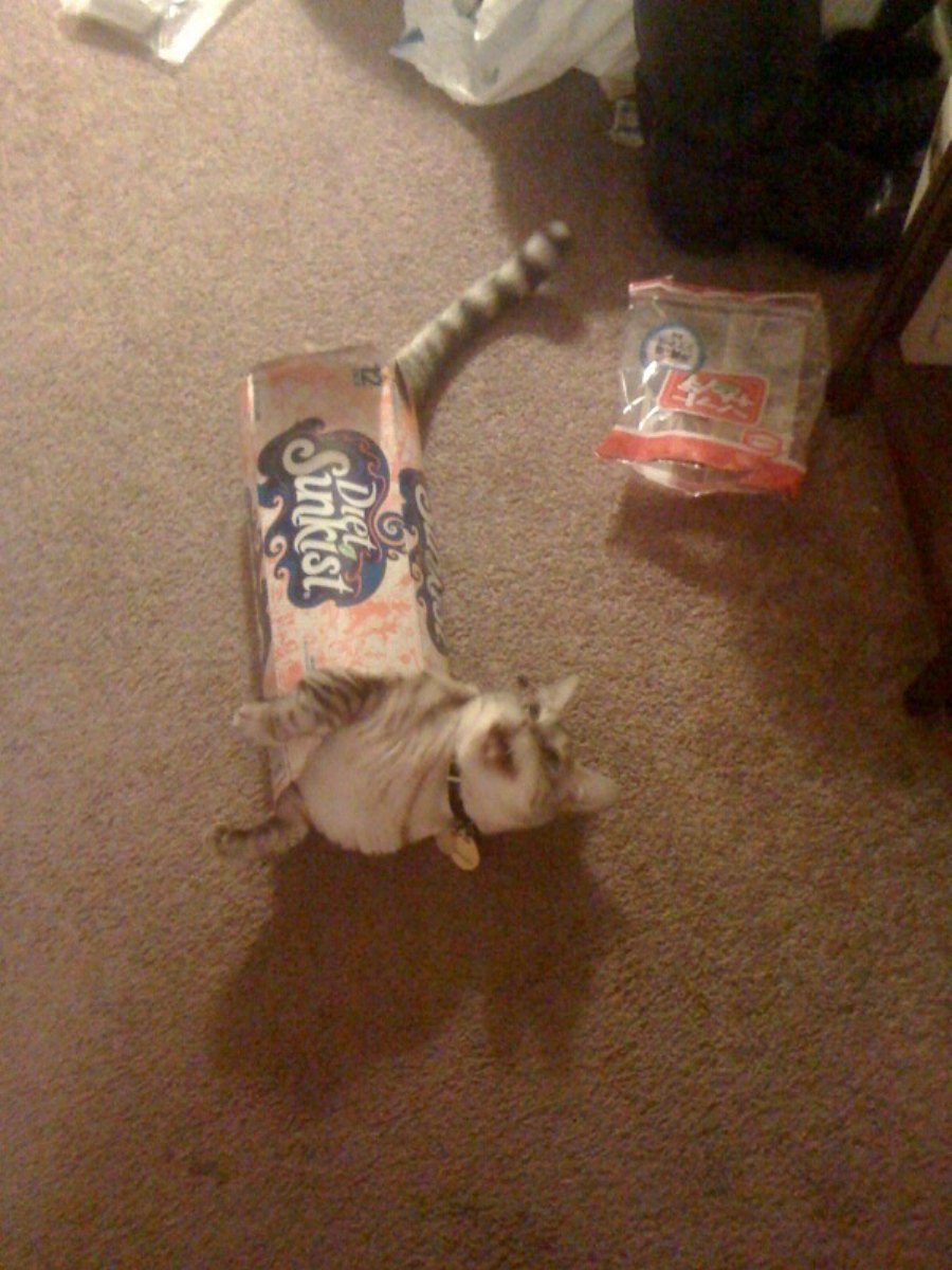 ヘンテコ画像集 ヤバイ世界