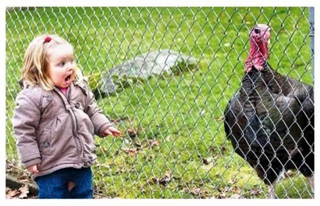 ヘンテコ画像集 ヤバイ世界