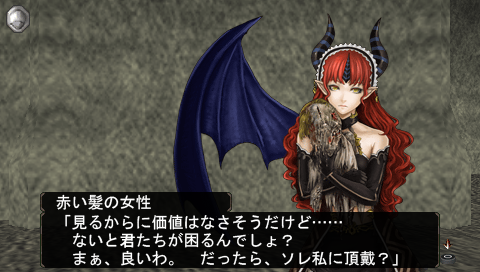 日々の記録 エルミナージュ
