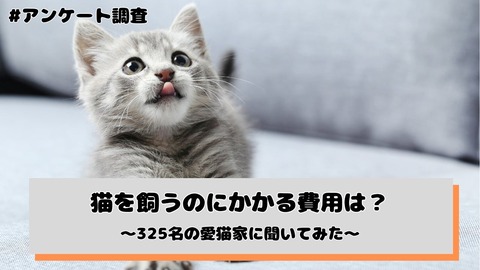 愛猫家にアンケート調査