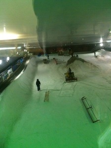 snova