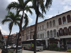 IMG_6502