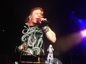 IMG_3534