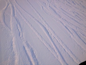 a1e5db70.jpg