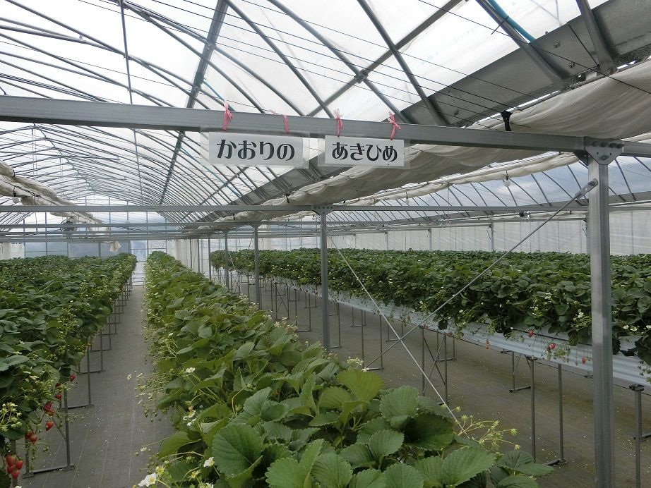 ファームスクエア 丹沢の森 はらへり