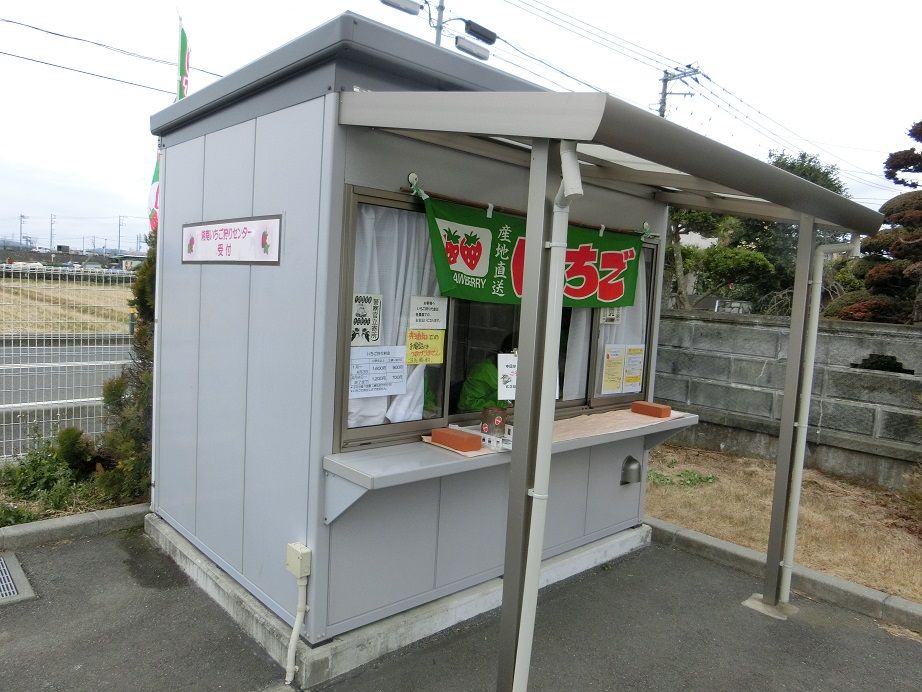湘南いちご狩りセンター はらへり