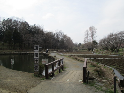22丸山公園2