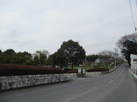 21丸山公園1