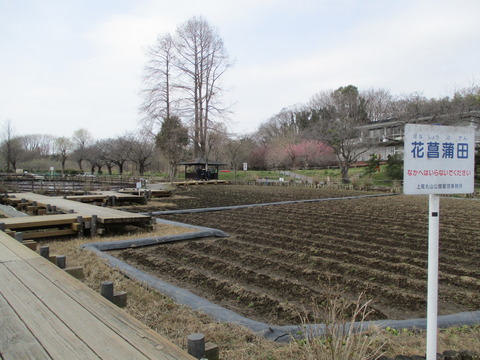 23丸山公園3